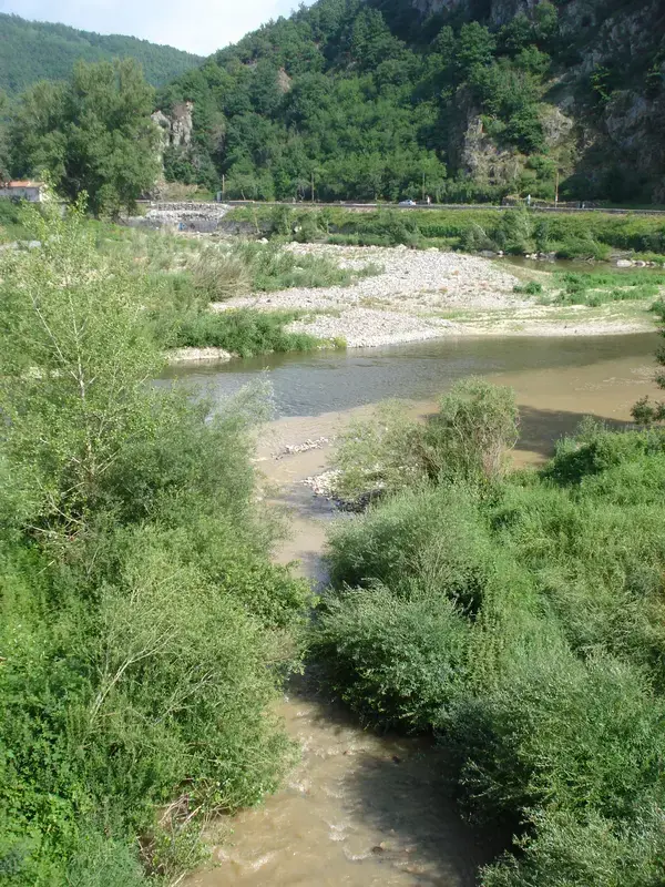 Monte Escalier 43 Monte escalier Chaspinhac